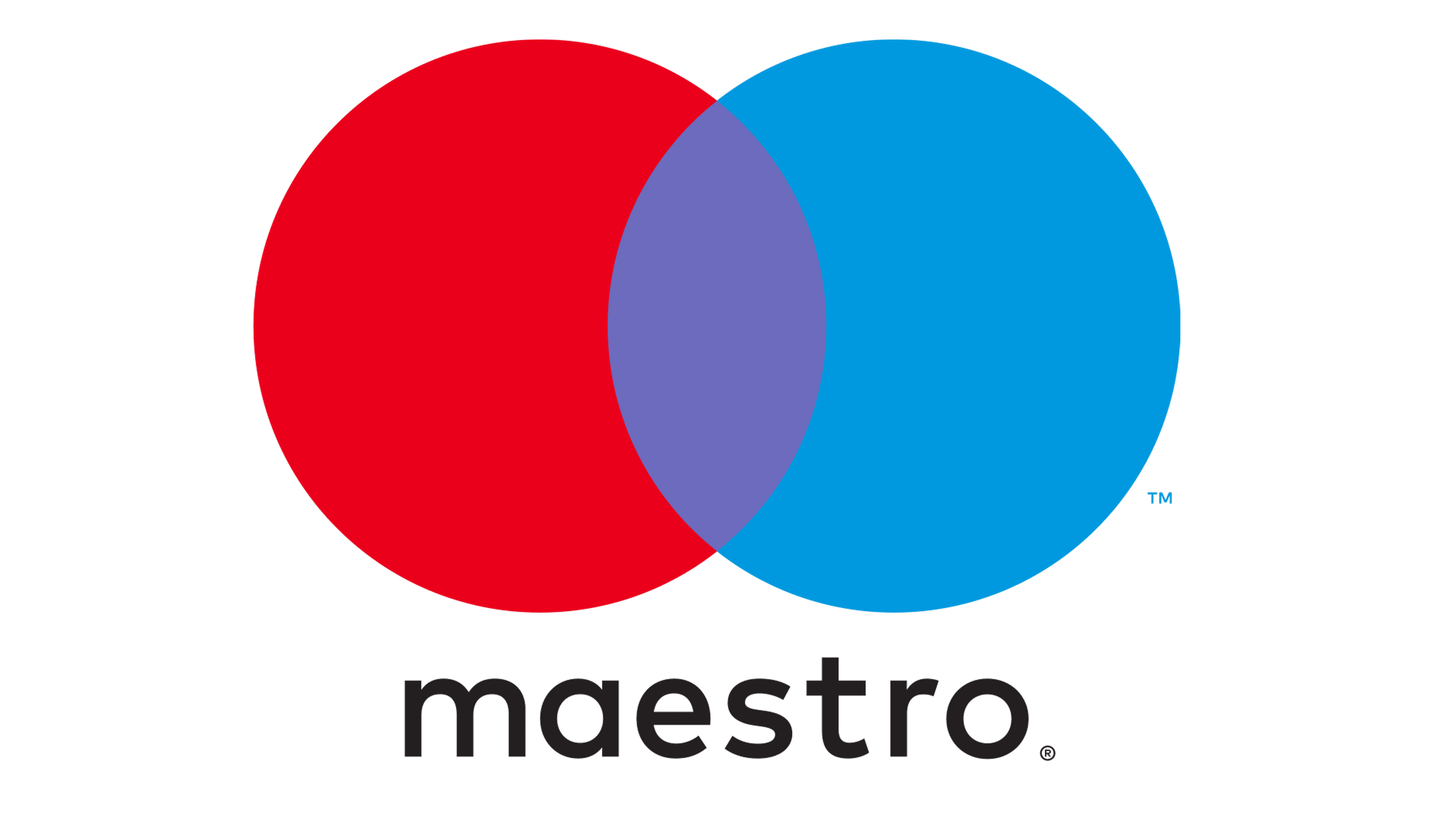 footer-maestro-logo